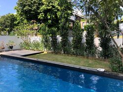 Shamrock Park (D10), Detached #471418461